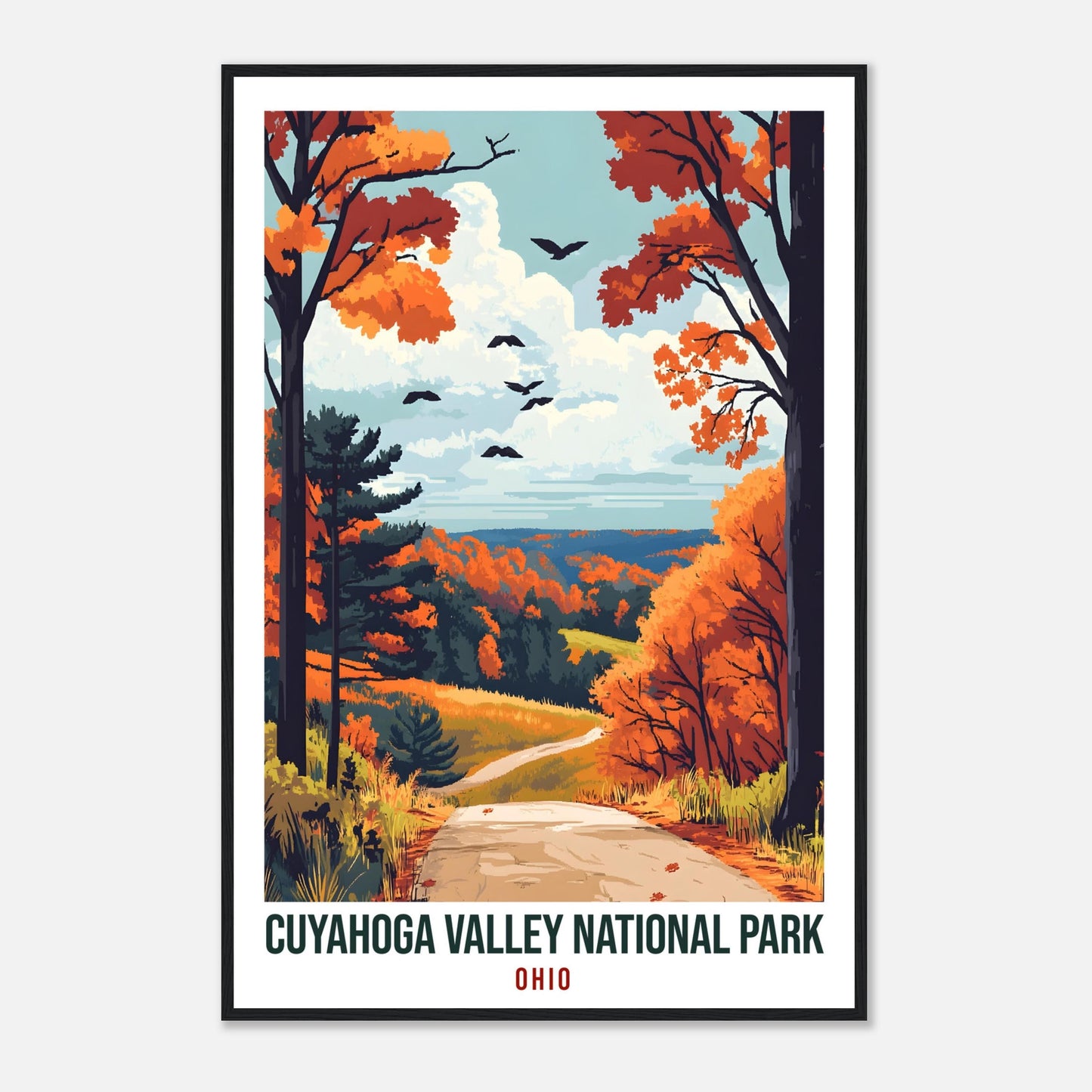 Cuyahoga Valley National Park Ohio USA Travel Print Wall Art Wall Hanging Décor Cuyahoga Valley Gift Travel Art USA Artwork Travel Poster